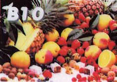 B10