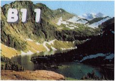 B11